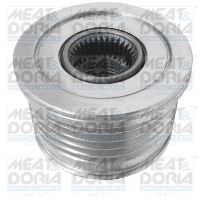 Alternator Freewheel Clutch